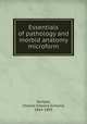 Essentials of pathology and morbid anatomy microform, Semple, Charles Edward Armand, 1845-1895 
