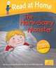 Read at Home: Level 5a: the Hairy-scary Monster Book and CD, Cynthia Rider, Alex Brychta 