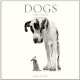 Dogs. 2013 Wall Calendar, Flach Tim 