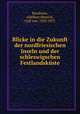 Blicke in die Zukunft der nordfriesischen Inseln und der schleswigschen Festlandskuste, Baudissin, Adelbert Henrich, Graf von, 1820-1871 