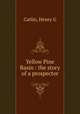 Yellow Pine Basin : the story of a prospector, Henry G. Catlin 
