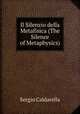Il Silenzio della Metafisica (The Silence of Metaphysics), Sergio Caldarella 