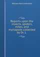 Reports upon the insects, spiders, mites, and myriapods collected by Dr. L ., William Harris Ashmead 