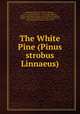 The White Pine (Pinus strobus Linnaeus), Spalding, Volney M. (Volney Morgan), 1849-1918,Chittenden, F. H. (Frank Hurlbut), 1858-1929. Insect enemies of the White Pine,Roth, Filibert, 1858-1925. Wood of the White Pine,Fernow, B. E. (Bernhard Eduard), 1851-1923 
