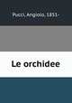 Le orchidee, Pucci, Angiolo, 1851- 