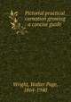 Pictorial practical carnation growing : a concise guide, Wright, Walter Page, 1864-1940 