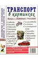 Транспорт в картинках. Выпуск 1.Наглядное пособие для педагогов, логопедов, воспитателей и родителей, 