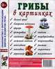 Грибы в картинках. Наглядное пособие для педагогов, логопедов, воспитателей и родителей, 