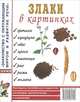 Злаки в картинках. Наглядное пособие для педагогов, логопедов, воспитателей и родителей, Кулакова Н. 