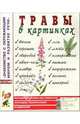 Травы в картинках. Наглядное пособие для педагогов, логопедов, воспитателей и родителей, 