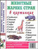 Животные жарких стран в картинках: Наглядное пособие для педагогов, логопедов, воспитателей - (Знакомство с окружающим миром и развитие речи) [А4], Кулакова Н. 