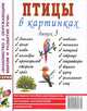 Птицы в картинках. Выпуск 3 Наглядное пособие для педагогов, логопедов, воспитателей и родителей. А4, Н. Кулакова 