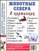 Животные севера в картинках. Наглядное пособие для педагогов, логопедов, воспитателей и родителей, 
