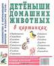 Детеныши домашних животных в картинках. Наглядное пособие для педагогов, логопедов, воспитателей и родителей, Кулакова Н. 