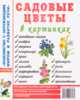 Садовые цветы в картинках: наглядное пособие для педагогов, логопедов, воспитателей и родителей., худож. Н. Кулакова 