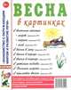 Весна в картинках. Наглядное пособие для педагогов, логопедов, воспитателей и родителей. А4, Кудряков Д. 
