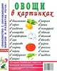 Овощи в картинках: наглядное пособие для педагогов, логопедов, воспитателей и родителей., Кулакова Н. 