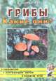 Грибы. Какие они? : книга для воспитателей, гувернеров и родителей., Татьяна Шорыгина 