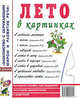 Лето в картинках. Наглядное пособие для педагогов, логопедов, воспитателей и родителей. А4, Кудряков Д. 