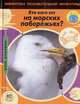 Мойра Баттерфилд: Кто кого ест на морских побережьях?, Мойра Баттерфилд 