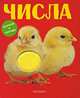 Числа, О. Кострюкова 