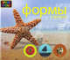 Формы и фигуры (Яркие уроки), 