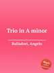 Trio in A minor, Balladori, Angelo 