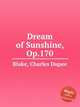 Dream of Sunshine, Op.170, Blake, Charles Dupee 