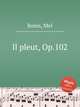 Il pleut, Op.102, Bonis, Mel 