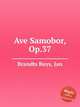 Ave Samobor, Op.37, Brandts Buys, Jan 