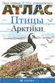 Птицы Арктики. Твой первый атлас-определитель, Сивоглазов Владислав Иванович, Овсянникова Екатерина Владимировна 