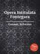 Opera Intitulata Fontegara, Ganassi, Sylvestro 