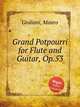 Grand Potpourri for Flute and Guitar, Op.53, Giuliani, Mauro 