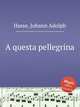 A questa pellegrina, Hasse, Johann Adolph 