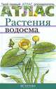 Растения водоема. Твой первый атлас-определитель, Татьяна Козлова, Владислав Сивоглазов 