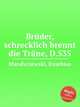Brder, schrecklich brennt die Trne, D.535, Mandyczewski, Eusebius 