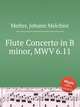 Flute Concerto in B minor, MWV 6.11, Molter, Johann Melchior 