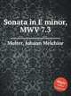 Sonata in E minor, MWV 7.3, Molter, Johann Melchior 