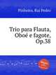 Trio para Flauta, Obo e fagote, Op.38, Pinheiro, Rui Pedro 