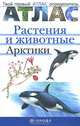 Растения и животные Арктики / Е.В. Вахрушева, В.И. Сивоглазов. - (Твой первый атлас-определитель)., Сивоглазов Владислав Иванович, Вахрушева Е. В. 