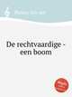De rechtvaardige - een boom, Putten, Jan van 