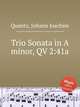 Trio Sonata in A minor, QV 2:41a, Quantz, Johann Joachim 