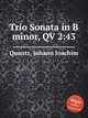 Trio Sonata in B minor, QV 2:43, Quantz, Johann Joachim 