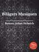 Bilgers Musiquen, Roman, Johan Helmich 