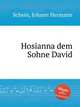 Hosianna dem Sohne David, 