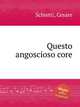 Questo angoscioso core, Schietti, Cesare 