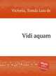 Vidi aquam, 