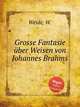 Grosse Fantasie ber Weisen von Johannes Brahms, Weide, W. 