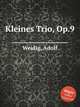 Kleines Trio, Op.9, Weidig, Adolf 