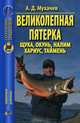 Великолепная пятерка, А. Д. Мухачев 